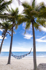 cradle beach and coconut tree