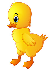 Cute duck cartoon