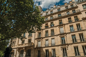 Facade of typical building with balcony, flowered windows and leafy tree in a sunny day at Paris. Known as the “City of Light”, is one of the most impressive world’s cultural center. Northern France.