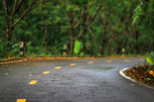 Roads With No Traffic Jam With Green Nature Two Ways. A Place To Rest During The Trip.