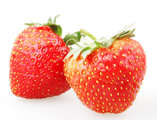 Strawberry on White Background