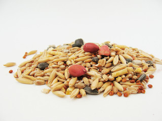 корм для хомяков, мелких грызунов, арахис, овес