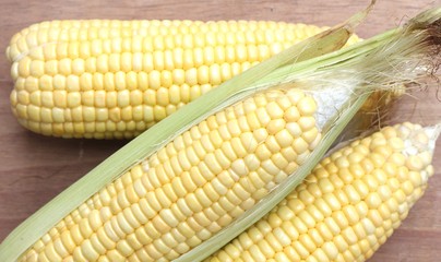 Fresh corn on cobs on wooden background