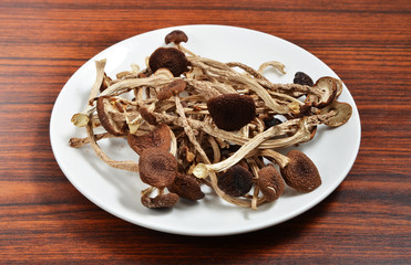 Dried brown swordbelt on white plate