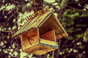 Birds feeder in  park 