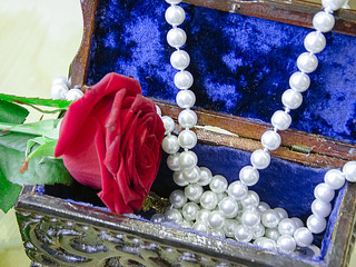 a red rose lies on the jewelry box.