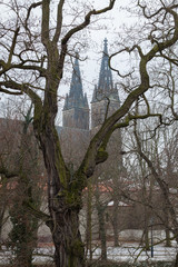 Сhurch in Prague hidden behind the trees