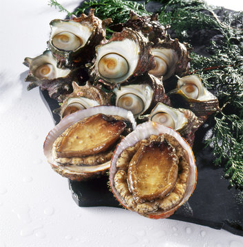 アワビ・サザエ (abalone and turban shell)