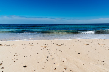 Fototapeta na wymiar Scenic view of sandy beach and sea against blue sky