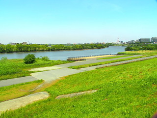 初夏の江戸川風景