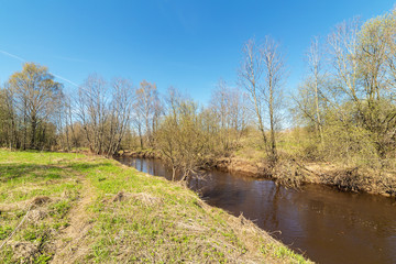 Fototapeta na wymiar small river in spring