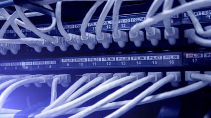 Network cables connected to switch. network hub. 