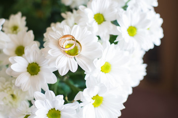 Chamomile Wedding Rings
