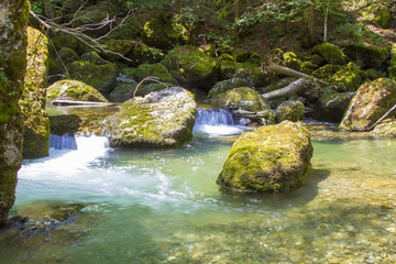 Haldentobel - Allgäu - Gunzesried - Nagelfluh - Naturpark