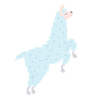 Vector illustration of  llama