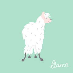 Vector illustration of  llama