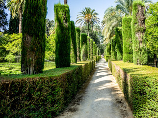 Spain, Seville, ROAD AMIDST TREES AND PLANTS AGAINST SKY in gardens