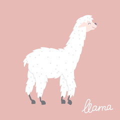 Vector illustration of  llama