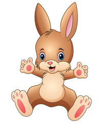Happy rabbit cartoon