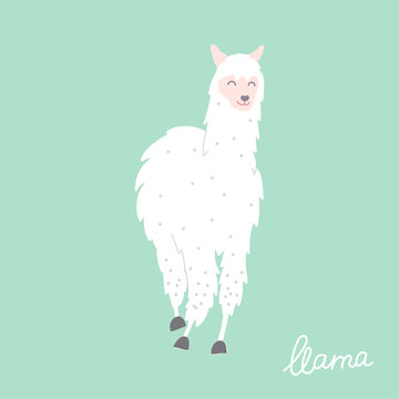 Vector illustration of  llama