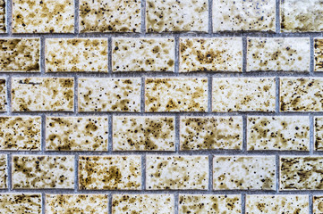 タイトル	住宅のタイル壁