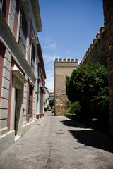 Fototapeta na wymiar Spain, Seville, EMPTY ALLEY AMIDST BUILDINGS IN CITY next to the castle wall