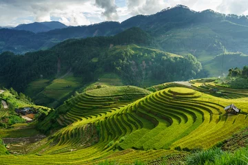 Acrylic prints Rice fields Terraced rice field in harvest season in Mu Cang Chai, Vietnam. Mam Xoi popular travel destination.