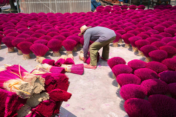 Incense sticks drying outdoor with Vietnamese worker in north of Vietnam