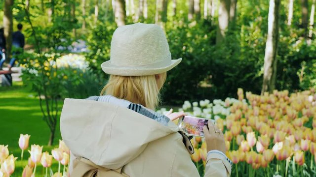 The tourist makes a photo of the flower beds of a tulip in a park of flowers