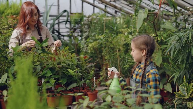 Beautiful child is sprinkling water on pot plants under guidance of her mother professional gardener. Happy childhood, helping parents and gardening concept.
