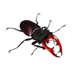 stag beetle, brown bug on a white background, realistic drowing, gradient