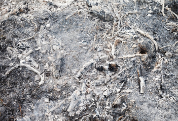 Surface of ashes.
