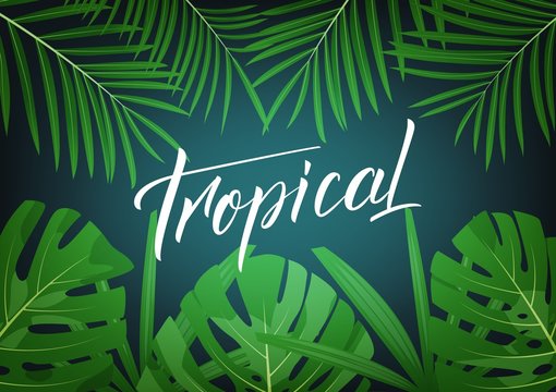 Tropical. Modern design layout with lettering and tropic jungle leaves. Summer tropical exotic background
