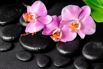 spa composition of zen massaging stones, pink orchid