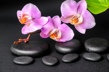 Fototapeta na wymiar spa setting of zen massaging stones with drops, lilac orchid