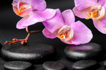 spa concept of zen massaging stones, lilac orchid
