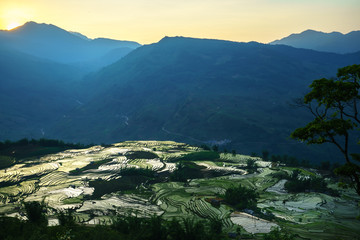 Fototapeta na wymiar Terraced rice field in water season by sunset period, the time before starting grow rice in Y Ty, Lao Cai province, Vietnam