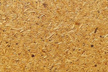 Wood texture. A lot of. Close. Bright. Board. Background for your use.