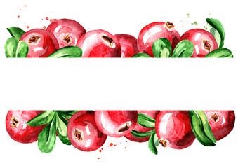 Fresh cranberry horizontal template. Watercolor hand drawn illustration  isolated on white background