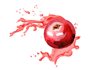 Fototapeta na wymiar Fresh cranberry in splash of cranberry juice isolated on white background. Watercolor hand drawn illustration