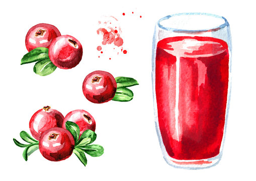 Glass of cranberry Juice and fresh ripe berries set. Watercolor hand drawn illustration, isolated on white background