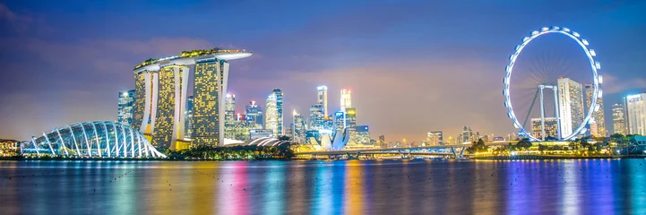 Poster Panorama van de stadshorizon van Singapore bij nacht © Delphotostock