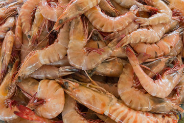 Fresh royal prawns. Showcase on the market.