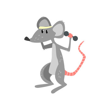 Mouse exercising with dumbbells, funny sportive wild animal character doing sports vector Illustration on a white background