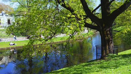 Spring in the city park with a canal