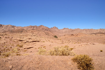 mountain-desert landscape, mountains of red sandstone, plain covered with rare desert vegetation, in the background an oasis with several palm trees, against the background of a cloudless blue sky, So