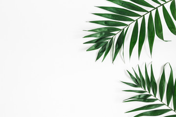 Naklejka na ściany i meble Tropical palm leaves on white background. Summer concept. Flat lay, top view, copy space