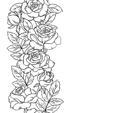 vector contour rose flowers bud leaf branch coloring book seamless repeating vertical pattern elements border frame