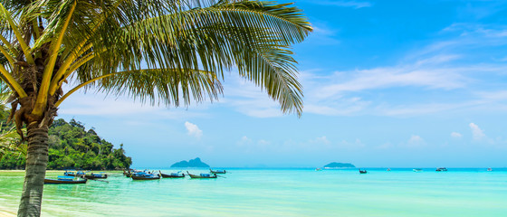 Naklejka na ściany i meble Amazing view of beautiful beach with traditional thailand longtale boats and palm tree. Location: Ko Phi Phi Don island, Krabi province, Thailand, Andaman Sea. Artistic picture. Beauty world.