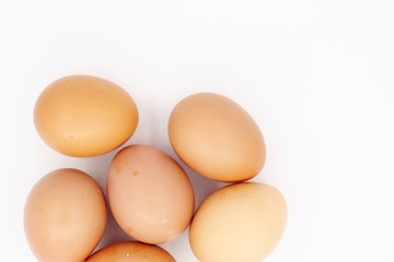 Egg on white background